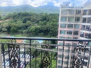 大埔 - 新峰花园 04