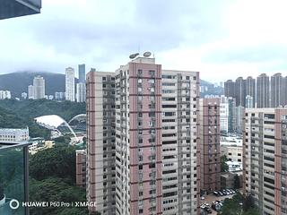 Causeway Bay - Jones Hive 06