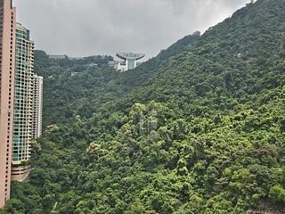 中半山 - 麗豪閣 09