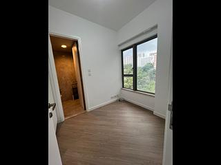 North Point - Lime Habitat 07