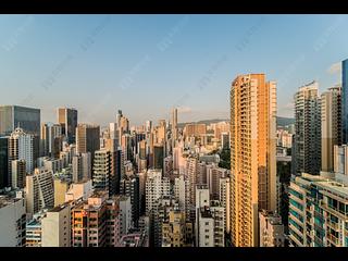 Wan Chai - The Avenue 10