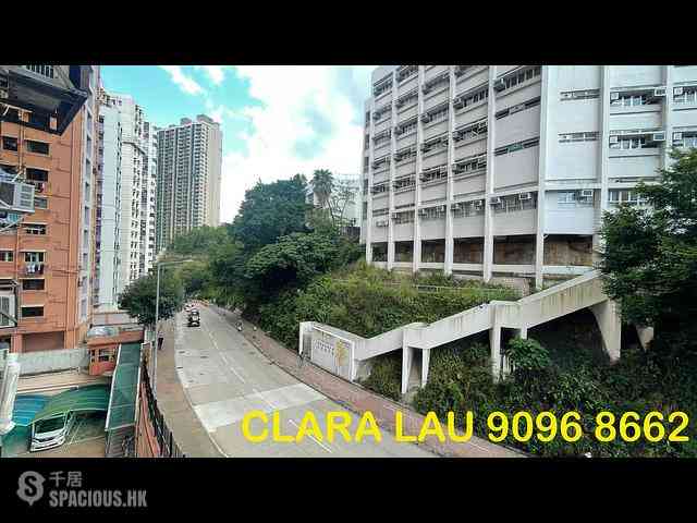 Ho Man Tin - Everwell Garden 10