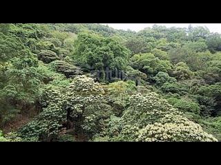 Tin Hau - Fly Dragon Terrace 10
