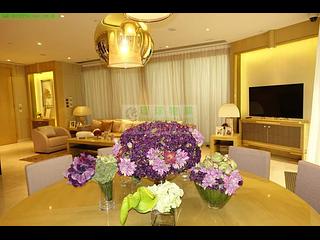 Kennedy Town - Cadogan 22