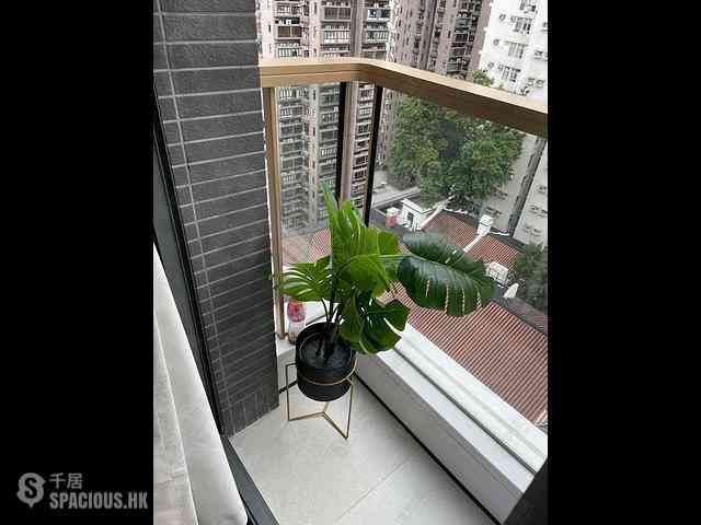 Sai Ying Pun - 15 Western Street 01