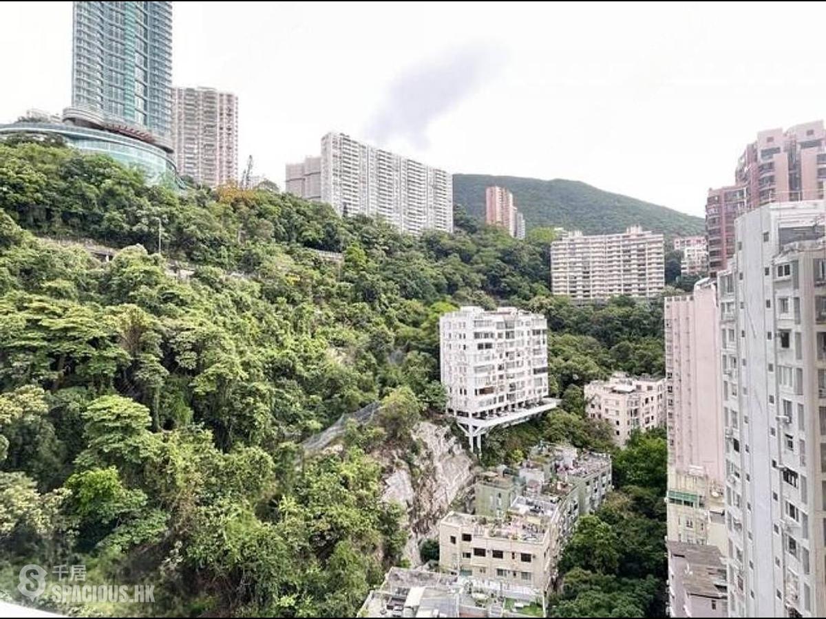 跑马地 - 纪云峰 01