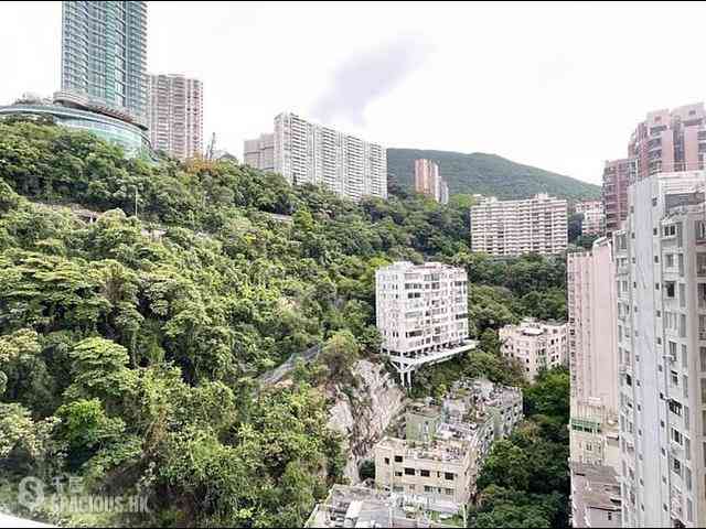 跑马地 - 纪云峰 01