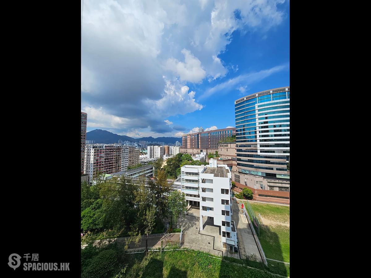 Mong Kok - Elize Park 01
