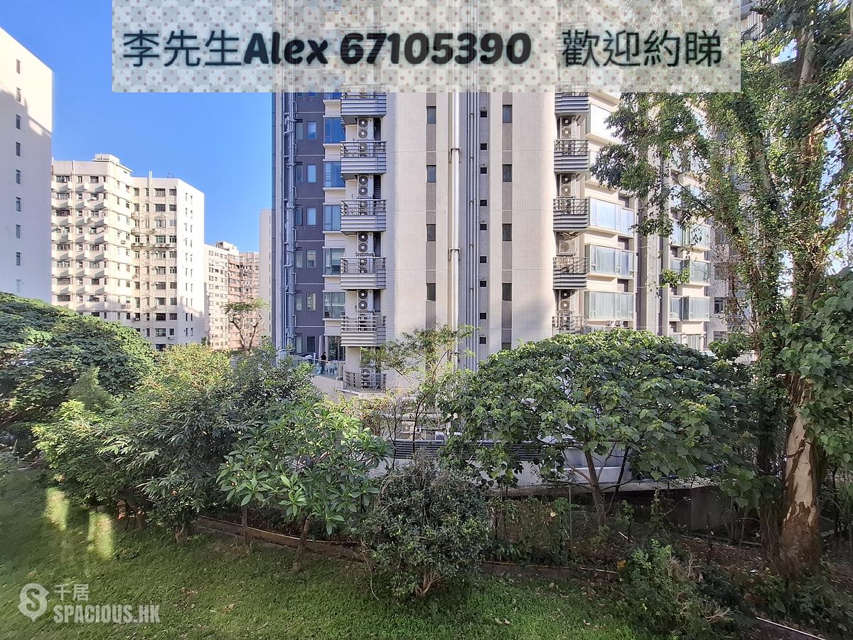 Beacon Hill - Ede Terrace 01