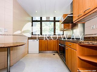 Mid Levels Central - Fairlane Tower 09
