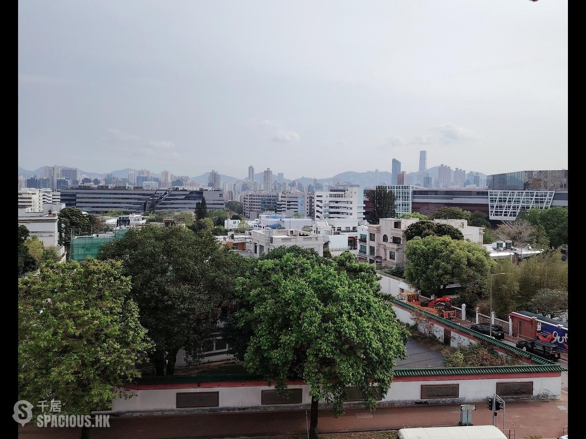 Beacon Hill - Hillsea Court 01