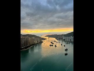 荃灣 - 柏傲灣2A座 10
