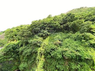 大坑 - 上林 10