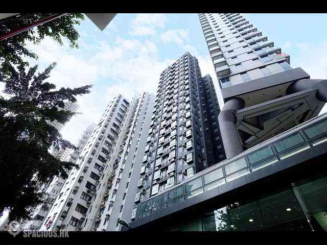 Wan Chai - Lodgewood 16