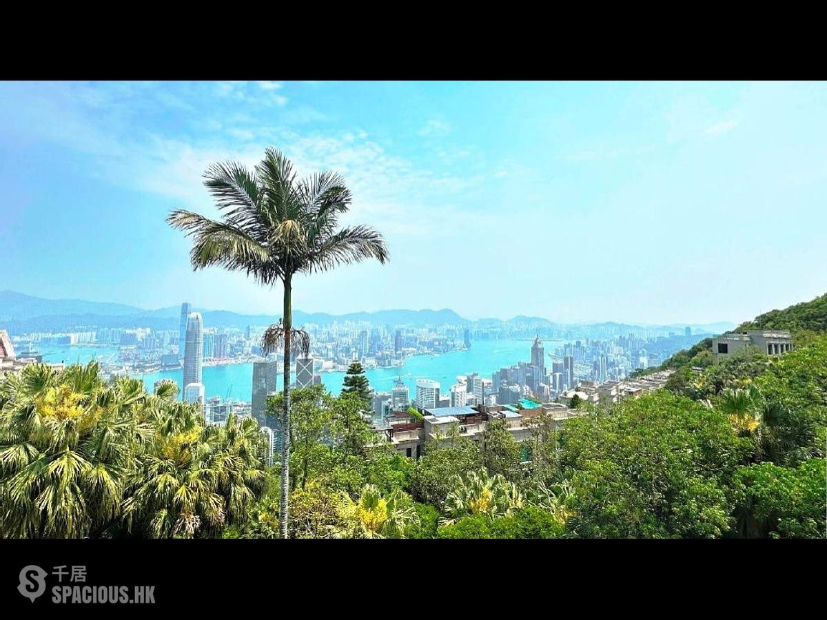 The Peak - Fung Shui 01