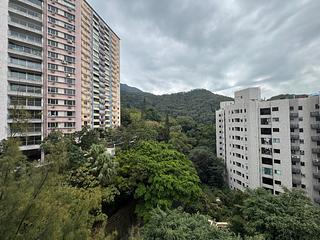 Mid Levels West - 1, Po Shan Road 03