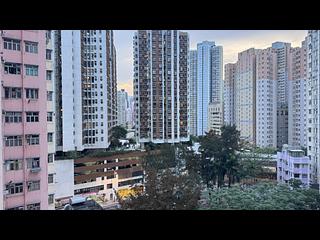 Shau Kei Wan - Oria 08