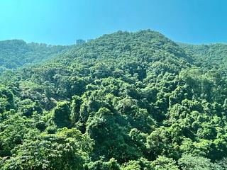 中半山 - 晓峰阁3座 04