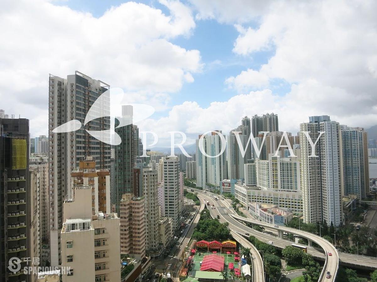 Shau Kei Wan - Lime Gala 01