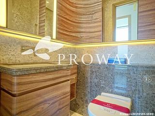Causeway Bay - Jones Hive 11