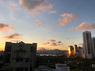 Causeway Bay - Jones Hive 02