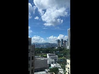 Causeway Bay - Jones Hive 03