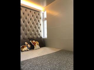 Causeway Bay - Phoenix Apartments 07
