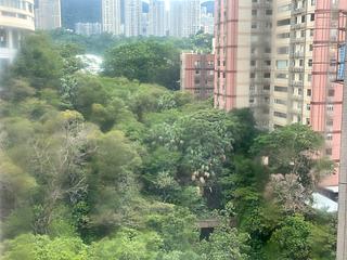 Tai Hang - The Warren 09