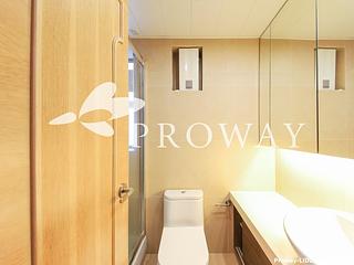 Causeway Bay - Illumination Terrace 10