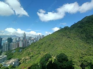 Mid Levels East - Bowen's Lookout 09