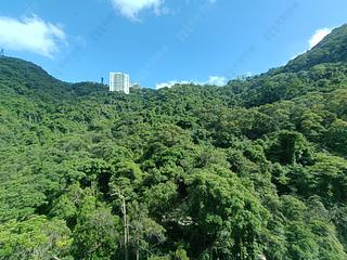 Mid Levels East - Bowen's Lookout 10