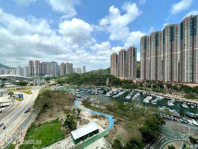 Tseung Kwan O - Savannah Block 2 02