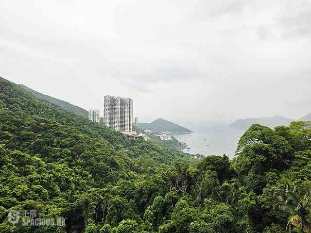 浅水湾 - 冠园 01