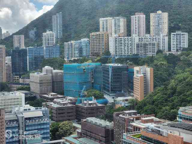 Shek Tong Tsui - The Belcher's 01