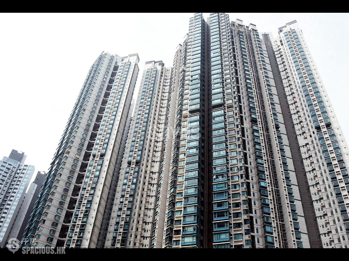 Tai Kok Tsui - The Long Beach 01
