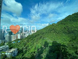 東半山 - Bowen's Lookout 10