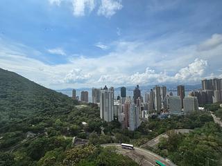 Pok Fu Lam - Y.Y. Mansions 14