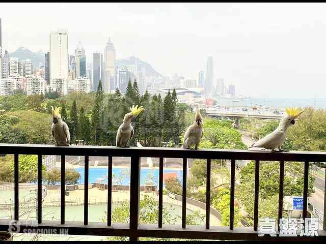 Tin Hau - Victoria Court 01