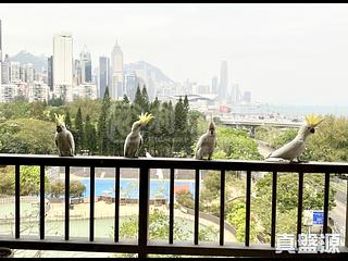 Tin Hau - Victoria Court 02