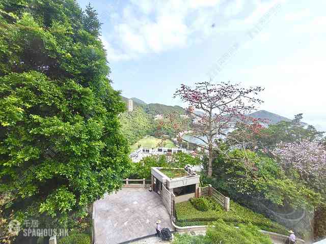 深水湾 - 深水湾道39号 04