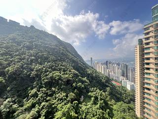 中半山 - 地利根德閣2座 09