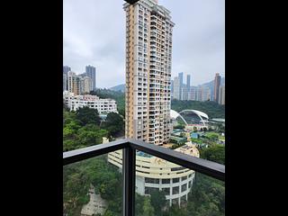 Tai Hang - Warrenwoods 07
