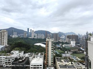 Tai Hang - Carnation Court 16