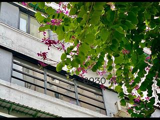 Poho - On Lok Building 04
