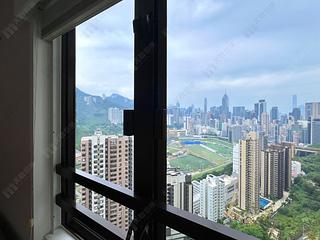 跑马地 - 乐陶苑 17