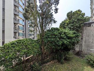 Beacon Hill - Ede Terrace 02