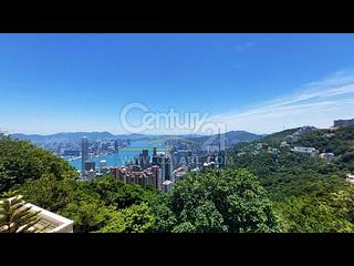 山顶 - The Mount Austin 03