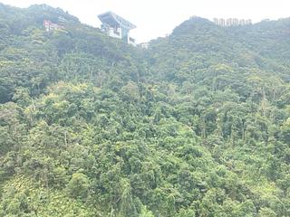 中半山 - 騰皇居II 04