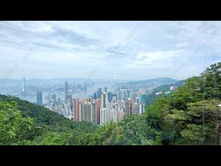 山顶 - The Mount Austin 07