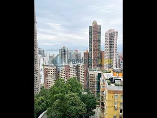 西半山 - 聯邦花園 15